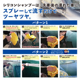 シリコンシャンプー 『スプレーして流すだけでツーヤツヤ 』