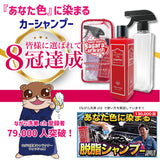 【ガラスコーティングをしていて、窓ガラスをすっきりきれいにしたい人向けセット】脱脂シャンプー ポーチ +スプラッシュ& ガラスポリッシュ セット