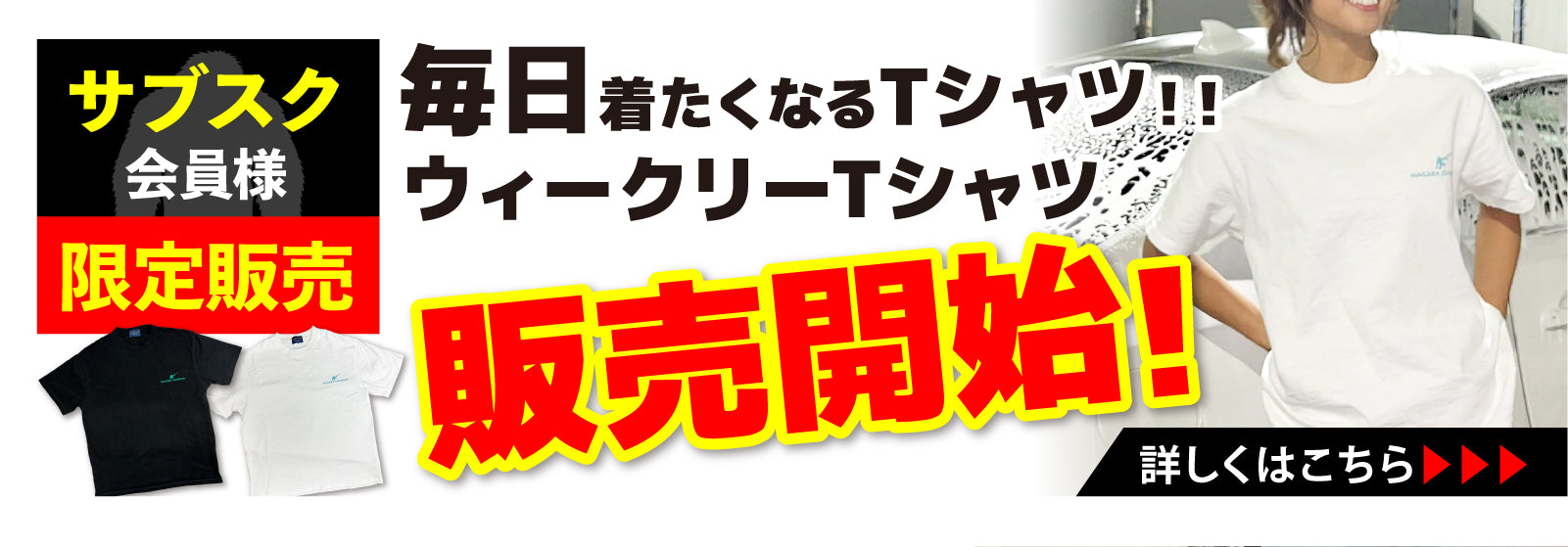 ながら洗車 公式オンラインショップ